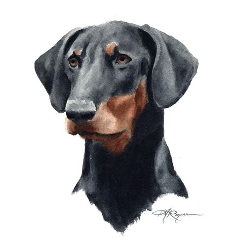 Doberman Pinscher Art Print by Watercolor Artist DJ Rogers