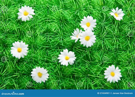 Artificial Grass With Daisies Stock Image - Image: 27434901