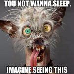 Crazy Dog Meme Generator - Imgflip