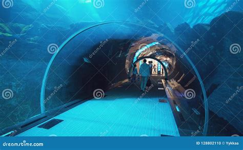 People Admire The Marine Life In The Glass Tunnel Of The Aquarium In ...