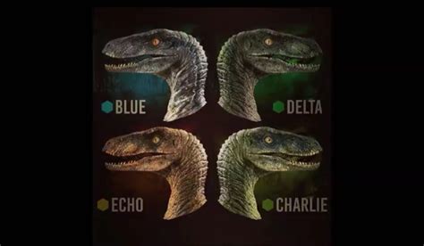 three dinosaurs with different names on them