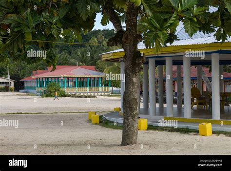 Fales, communal houses, breadfruit tree, Manase village, Savai'i Island, Western Samoa Stock ...