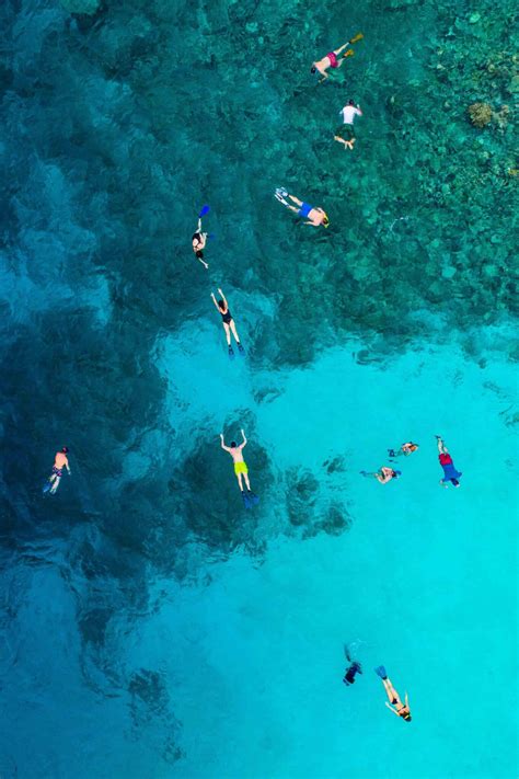 Snorkeling at Captain Cook: Everything You Need to Know About The Best ...