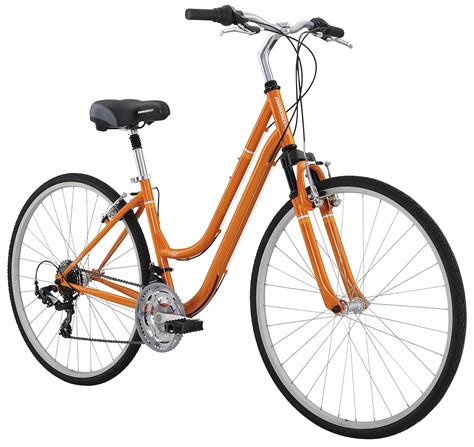 Best Hybrid Bikes Under $300 | Affordable Hybrid Bikes - Best Enthusiast