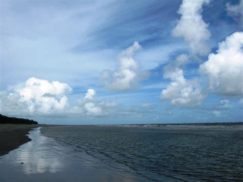 Tours and Travels: Bakkhali Beach In West Bengal,Beaches In India