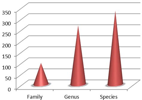 Cone graph represents taxa distribution. | Download Scientific Diagram