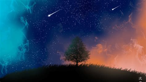 2560x1440 Tree and Shooting Stars 4K 1440P Resolution Wallpaper, HD ...