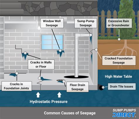 How To Remove Water From Your Basement at Paige Katie blog