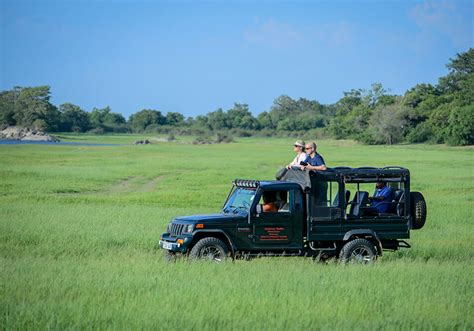 Wilpattu National Park: Untamed Wilderness Awaits Your Safari Adventure ...