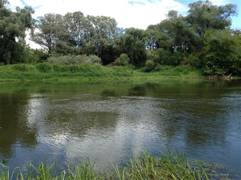 The Bug River dividing Poland and Ukraine (Volhynia), June 2017. My mother was born around here ...