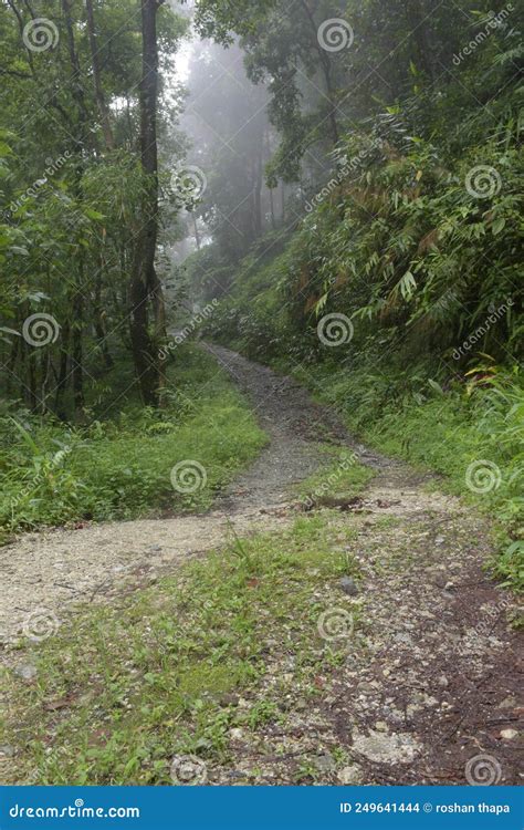 Village Roads - Indian Village Road Stock Photo - Image of road, indian: 249641444