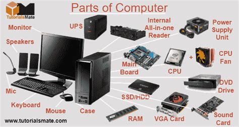 4 Main Parts of a Computer