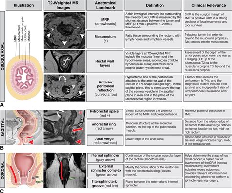 Pin on Radiology