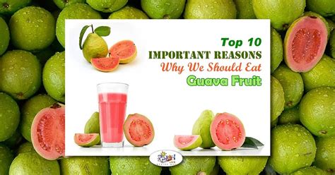 Top 10 Health Benefits of Guava Fruit - Pinoy Recipe at iba pa