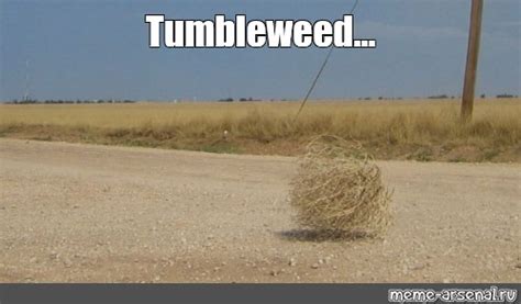 Meme: "Tumbleweed..." - All Templates - Meme-arsenal.com