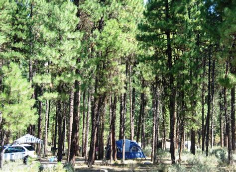 Boise National Forest - Camping & Cabins:Campground Camping