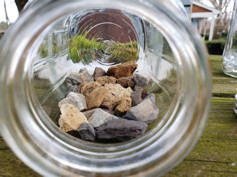 Create Your Own Mini Ecosystem at Home! - Shaver’s Creek Environmental ...