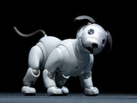 Sony Aibo robot dog returns with advanced AI - Doglopedix