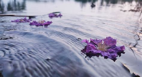 Burial At Sea: Great way to Spread Your Loved Ones Ashes | iOutdoors