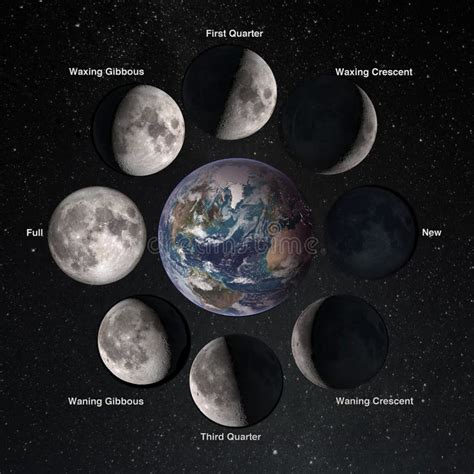 Relation Movements of the Moon 8 Lunar Phases Revolution Around Earth ...