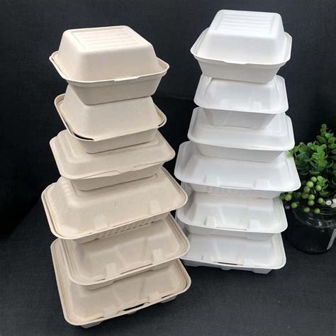 China Eco-friendly Disposable Biodegradable Compostable Clamshell Take ...