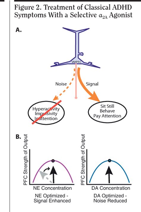 Figure 2 from Mechanism of action of alpha 2A-adrenergic agonists in attention-deficit ...