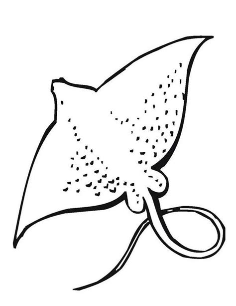 Printable Stingray Clipart Black And White - Coloring Home