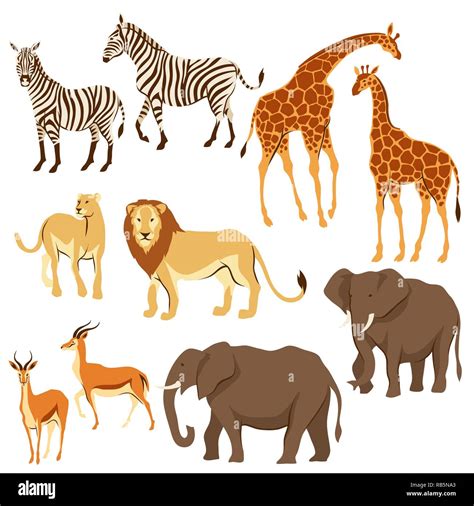 Set of African savanna animals Stock Vector Image & Art - Alamy