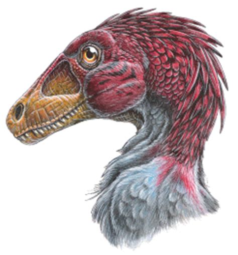 Dromaeosauridae - the Dromaeosaur Dinosaurs | 공룡