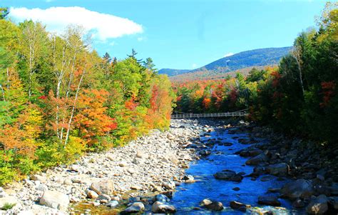 Foliage White Mountains New Hampshire