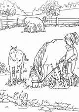 Horse Farm Coloring Pages sketch template