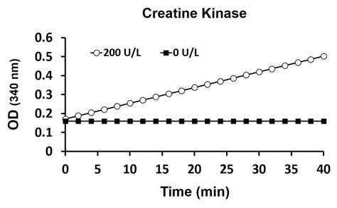 Creatine Kinase Activity Assay Kit (Colorimetric) (ARG82150) - arigo ...