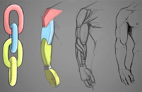 How to Draw an Arm | Art Rocket