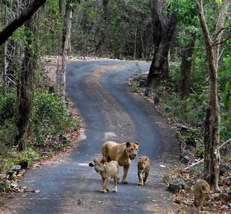 Sanjay Gandhi National Park - Wordzz