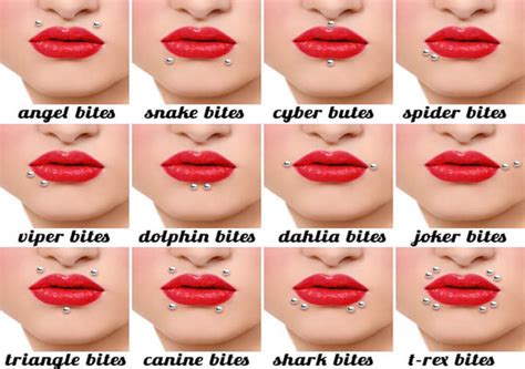 Different Types of Lip Piercing Ideas