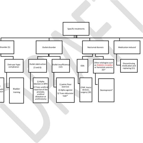 Treatment steps for idiopathic nocturnal enuresis. | Download Scientific Diagram