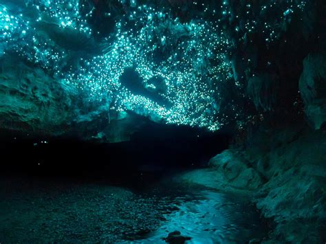 A cave in New Zealand lit just by Glow Worms [OC] [2500 x 1875] : EarthPorn | Glow worm, The ...