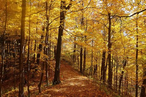 The top 5 fall hikes in Toronto