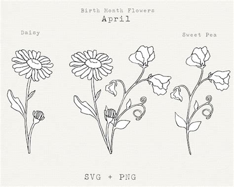 Daisy Bouquet SVG, April Birth Flower | ubicaciondepersonas.cdmx.gob.mx