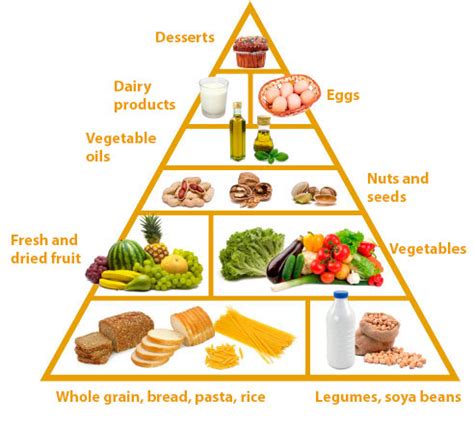 The Ovo-Lacto Vegetarian Diet | Pipo Programme