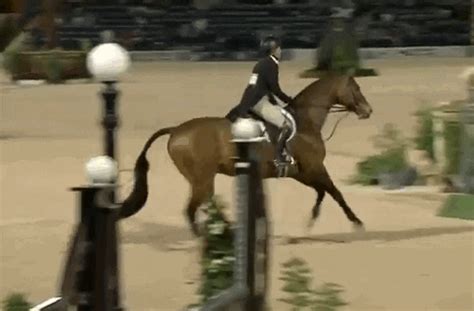 Ride Get GIF - Find & Share on GIPHY