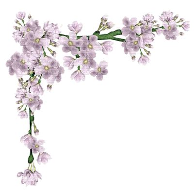 flower branch gif animated corner, flower , branch - Free animated GIF ...