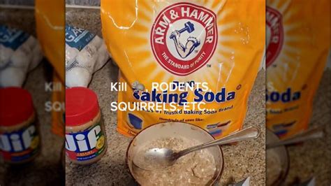 The Baking Soda Hack People Use To Control A Rat Problem (& Does It ...