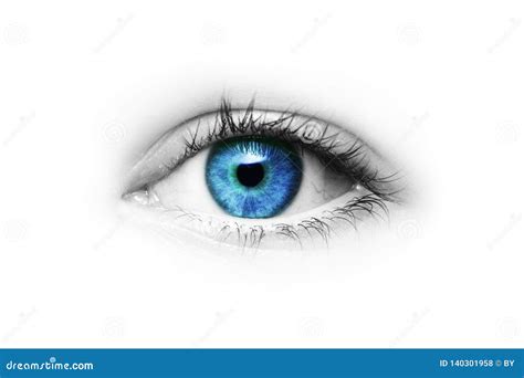 Eye with blue iris stock photo. Image of eyes, white - 140301958