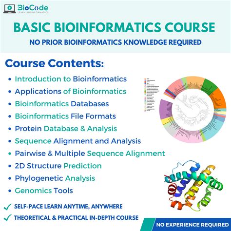 Basic Bioinformatician Course | BioCode