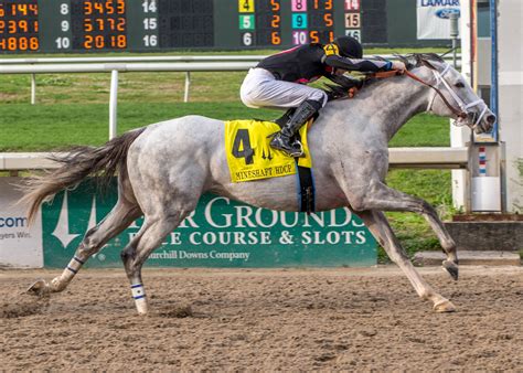 Tapit ranked leading stallion by stakes winners