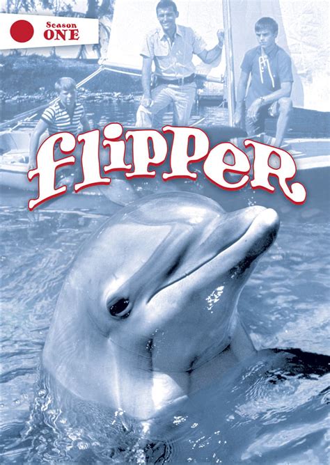 Flipper: Season 1 [DVD] - Best Buy