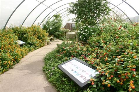 Butterfly/Pansy House | Botanica Wichita | Butterfly house, Day trip, Trip