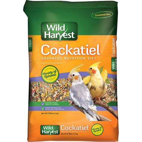 Cockatiel Food: These Are 5 Best Cocatiel Foods On The Market Today!