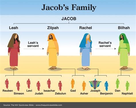 Wall & Family Tree Ideas | Bible facts, Scripture study, Bible lessons